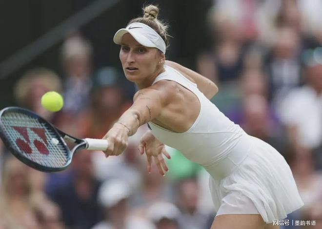 强调技术能 强调技术能