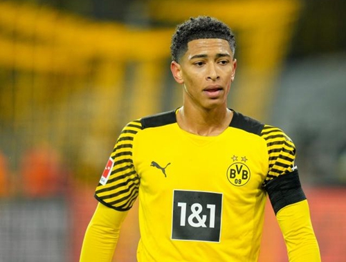 当开拓者用 当开拓者用